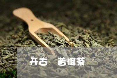 开古 普洱茶/2023042902361